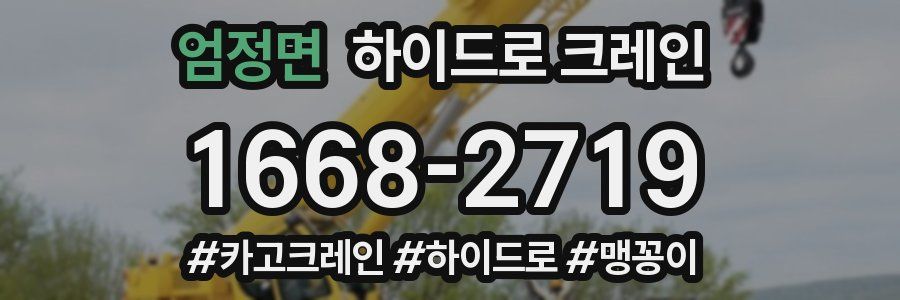 엄정면 하이드로 크레인