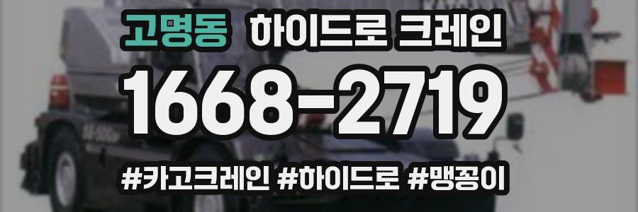 고명동 하이드로 크레인