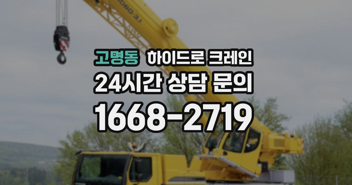 고명동 하이드로 크레인