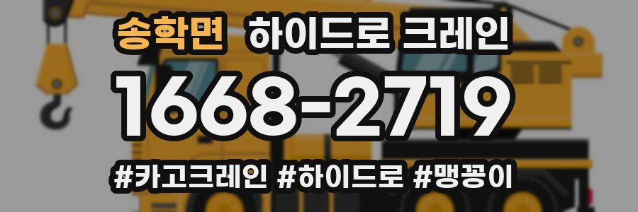 송학면 하이드로 크레인