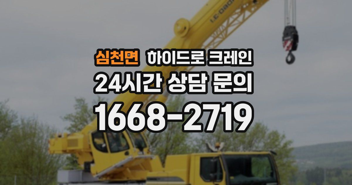 심천면 하이드로 크레인
