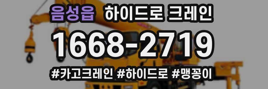 음성읍 하이드로 크레인
