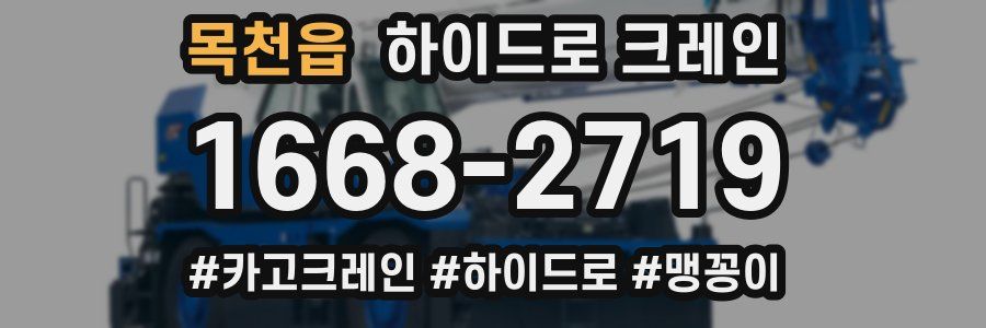 목천읍 하이드로 크레인