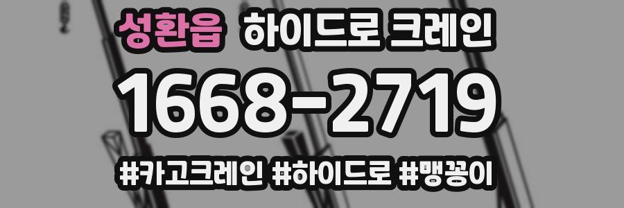 성환읍 하이드로 크레인