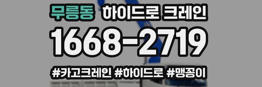 무릉동 하이드로 크레인