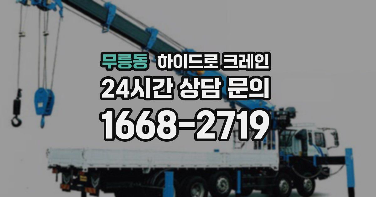 무릉동 하이드로 크레인