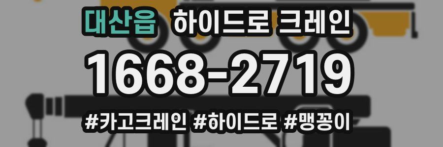 대산읍 하이드로 크레인