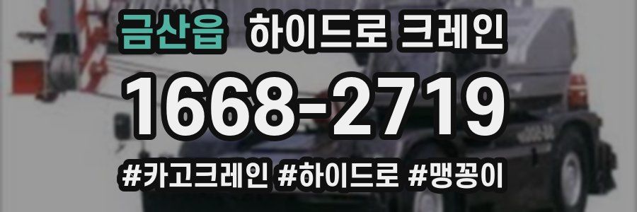 금산읍 하이드로 크레인