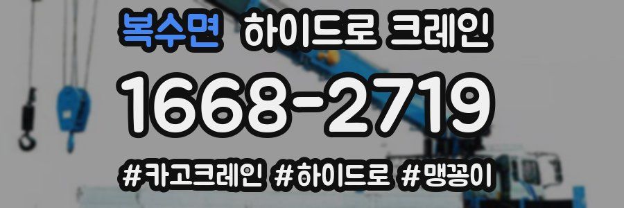 복수면 하이드로 크레인