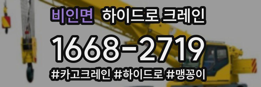 비인면 하이드로 크레인