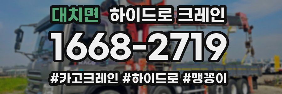 대치면 하이드로 크레인