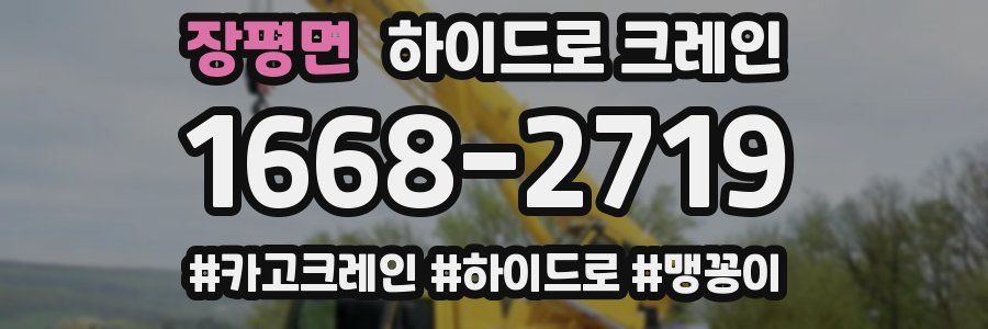 장평면 하이드로 크레인