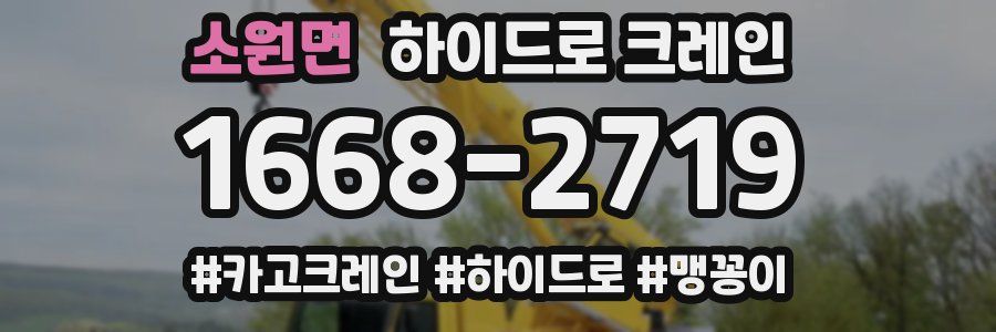 소원면 하이드로 크레인