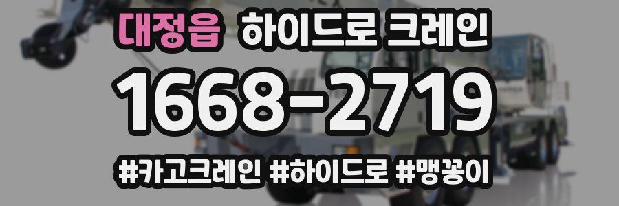 대정읍 하이드로 크레인