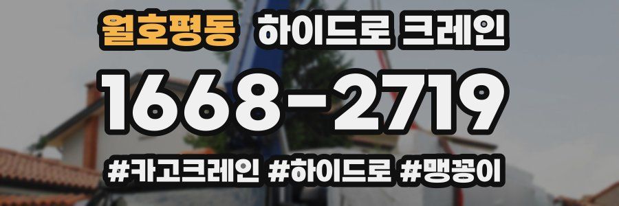 월호평동 하이드로 크레인