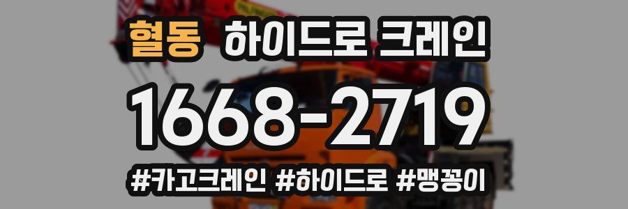 혈동 하이드로 크레인