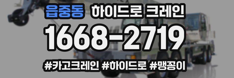 읍중동 하이드로 크레인