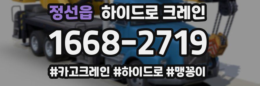 정선읍 하이드로 크레인