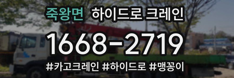 죽왕면 하이드로 크레인