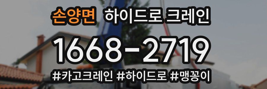 손양면 하이드로 크레인