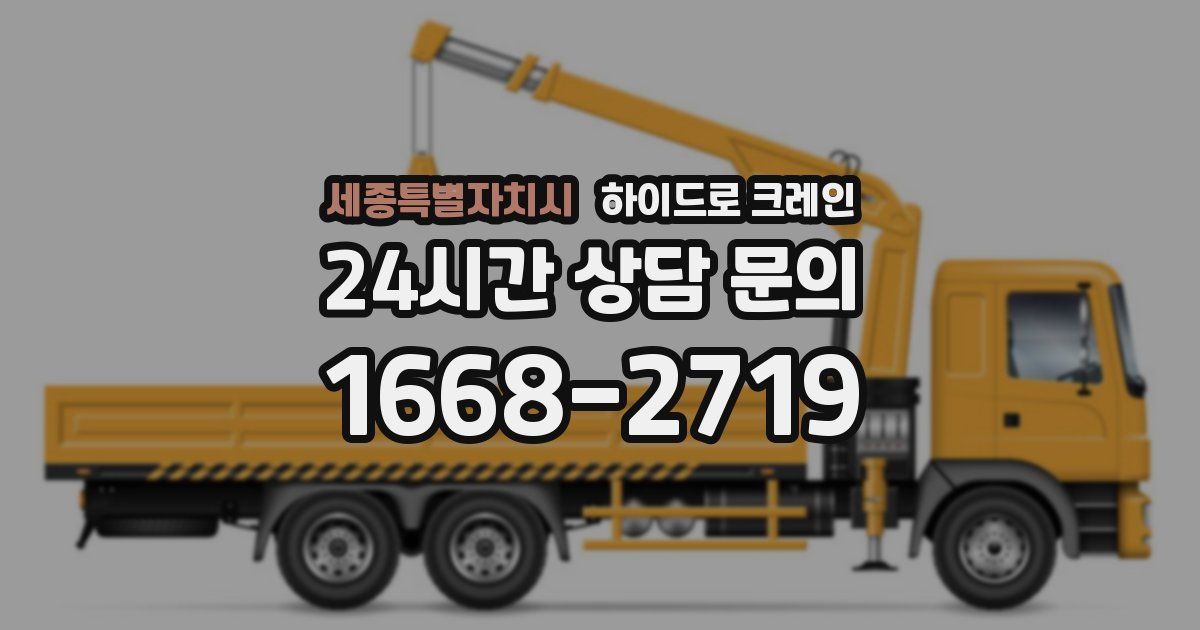 세종특별자치시 하이드로 크레인