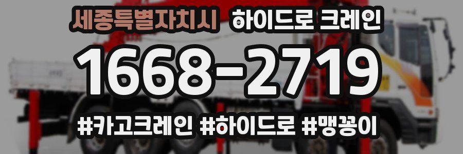 세종특별자치시 하이드로 크레인