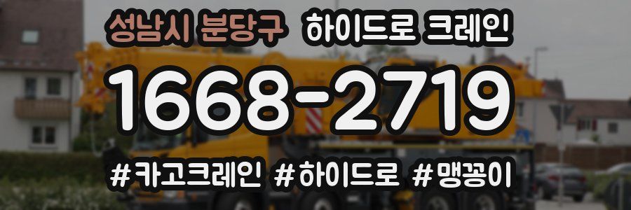 성남시 분당구 하이드로 크레인
