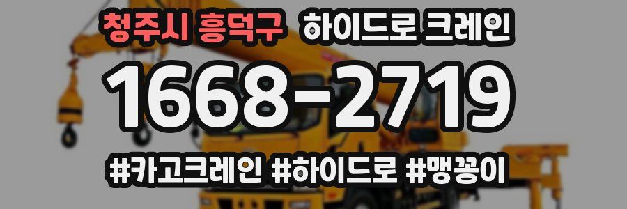 청주시 흥덕구 하이드로 크레인
