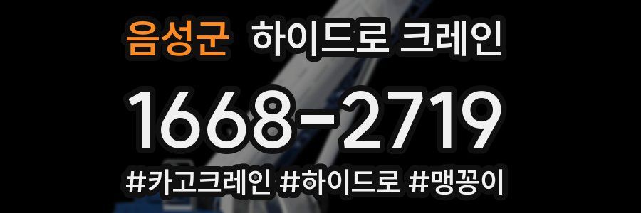 음성군 하이드로 크레인