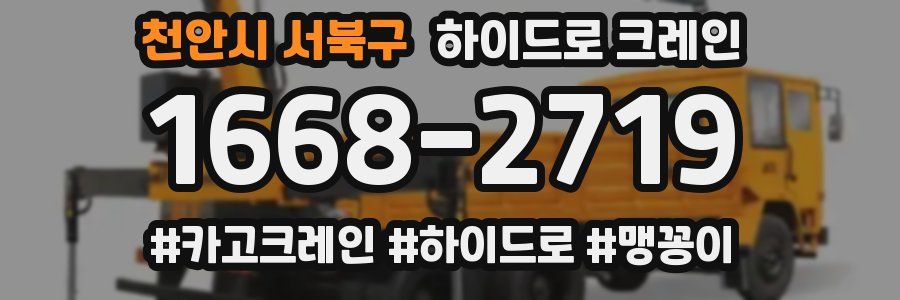 천안시 서북구 하이드로 크레인