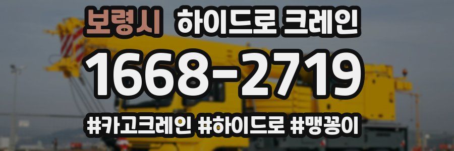 보령시 하이드로 크레인