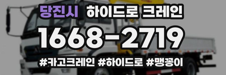 당진시 하이드로 크레인