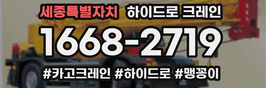 세종특별자치 하이드로 크레인