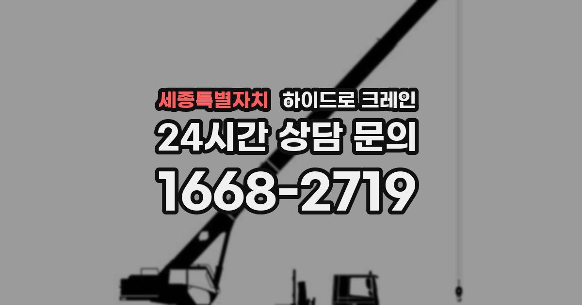 세종특별자치 하이드로 크레인