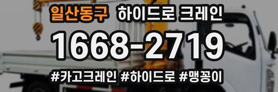 일산동구 하이드로 크레인