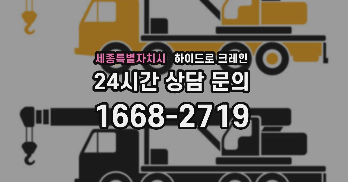 세종특별자치시 하이드로 크레인