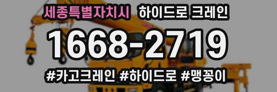 세종특별자치시 하이드로 크레인