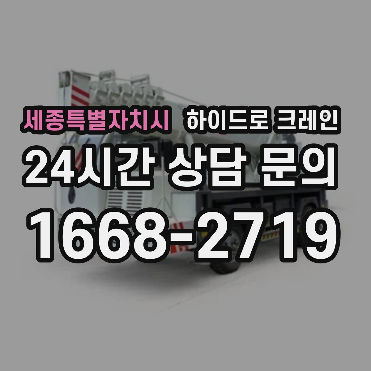 세종특별자치시 하이드로 크레인