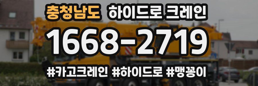 충청남도 하이드로 크레인