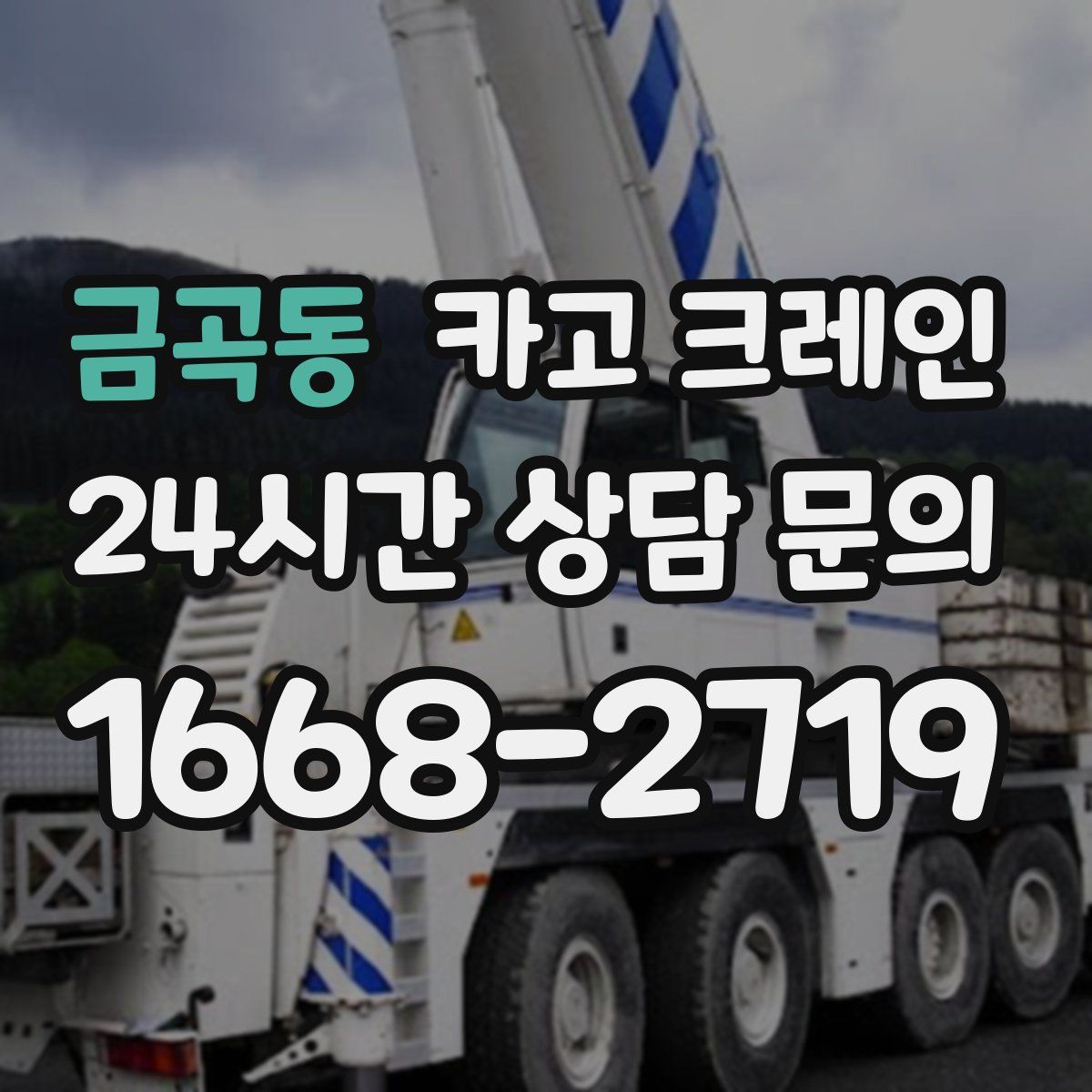 금곡동 카고 크레인