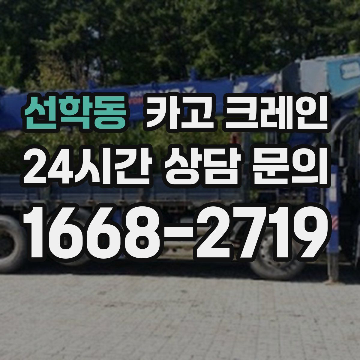 선학동 카고 크레인