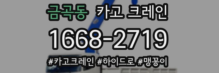 금곡동 크레인 작업