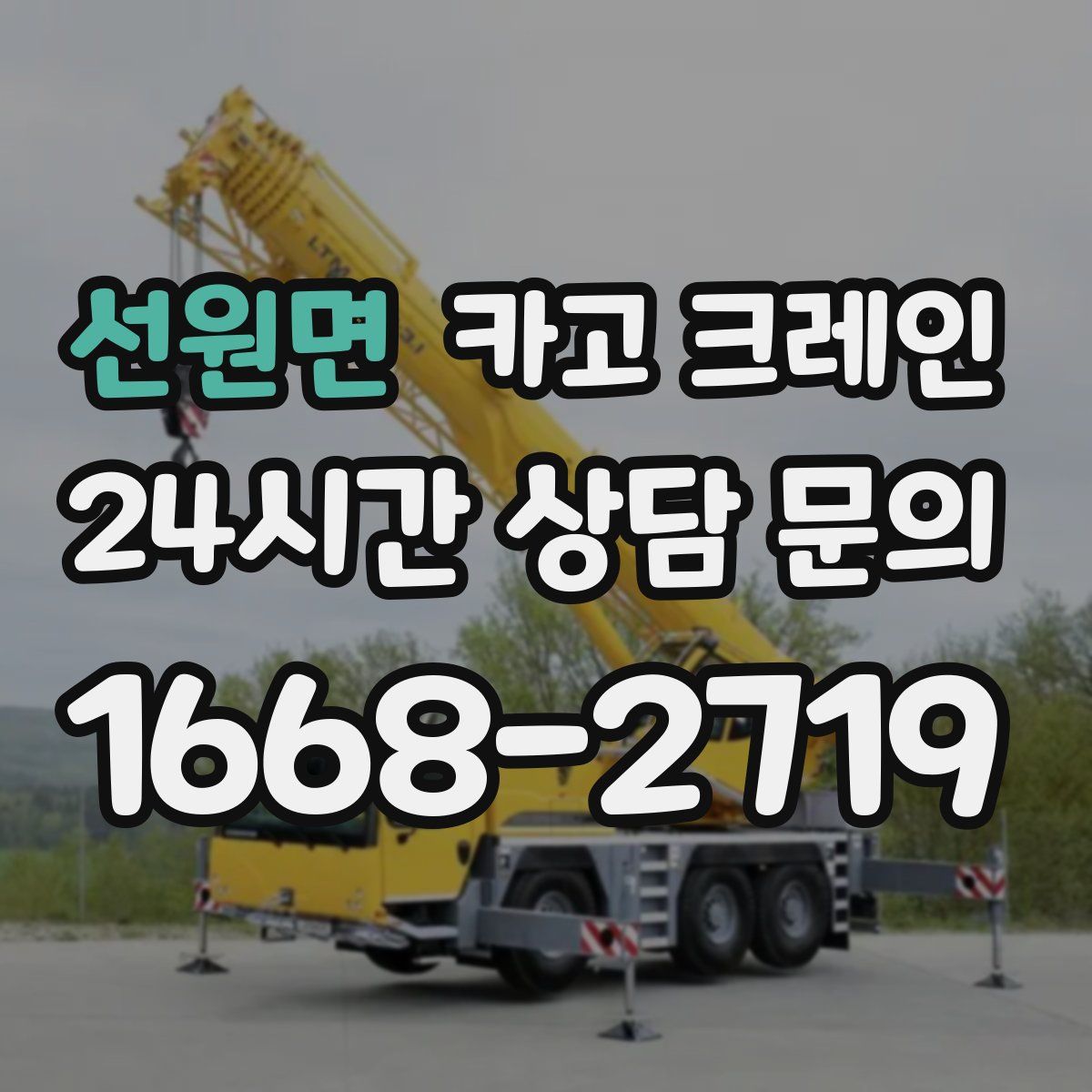 선원면 카고 크레인