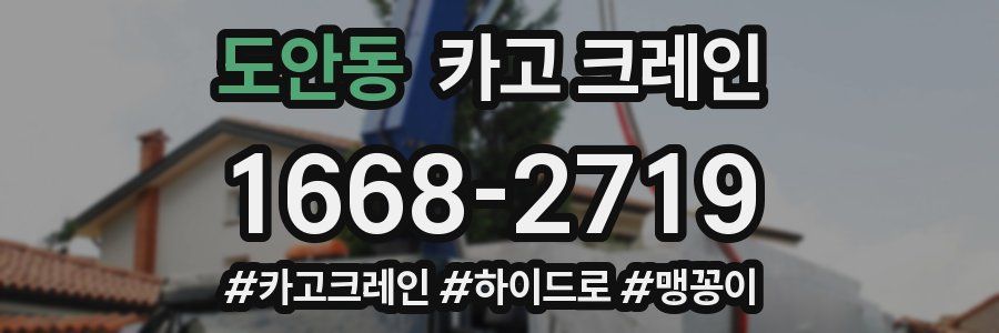 도안동 크레인 작업