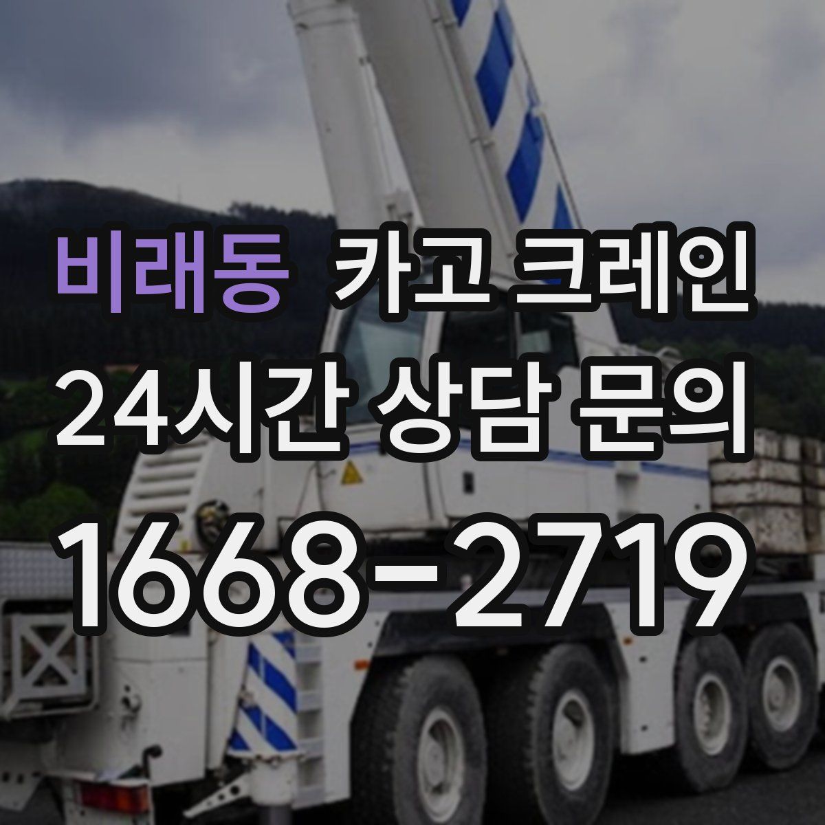 비래동 카고 크레인