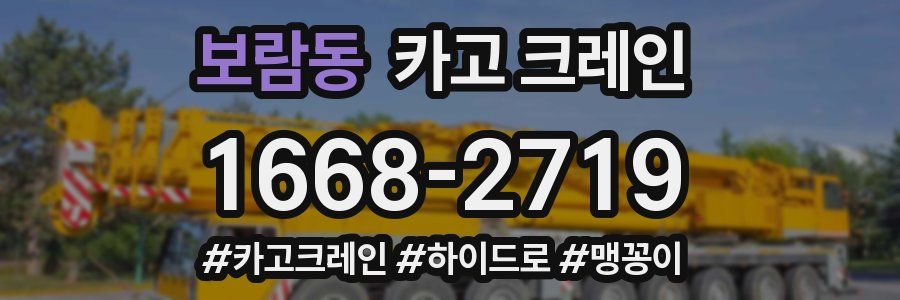 보람동 크레인 작업