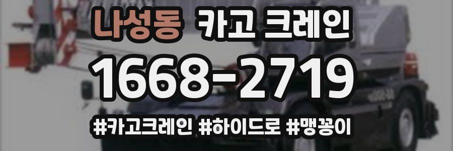 나성동 크레인 작업