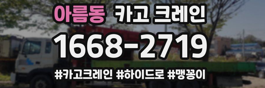 아름동 크레인 작업