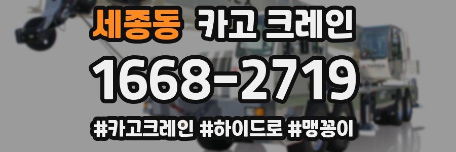 세종동 크레인 작업