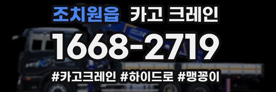 조치원읍 크레인 작업